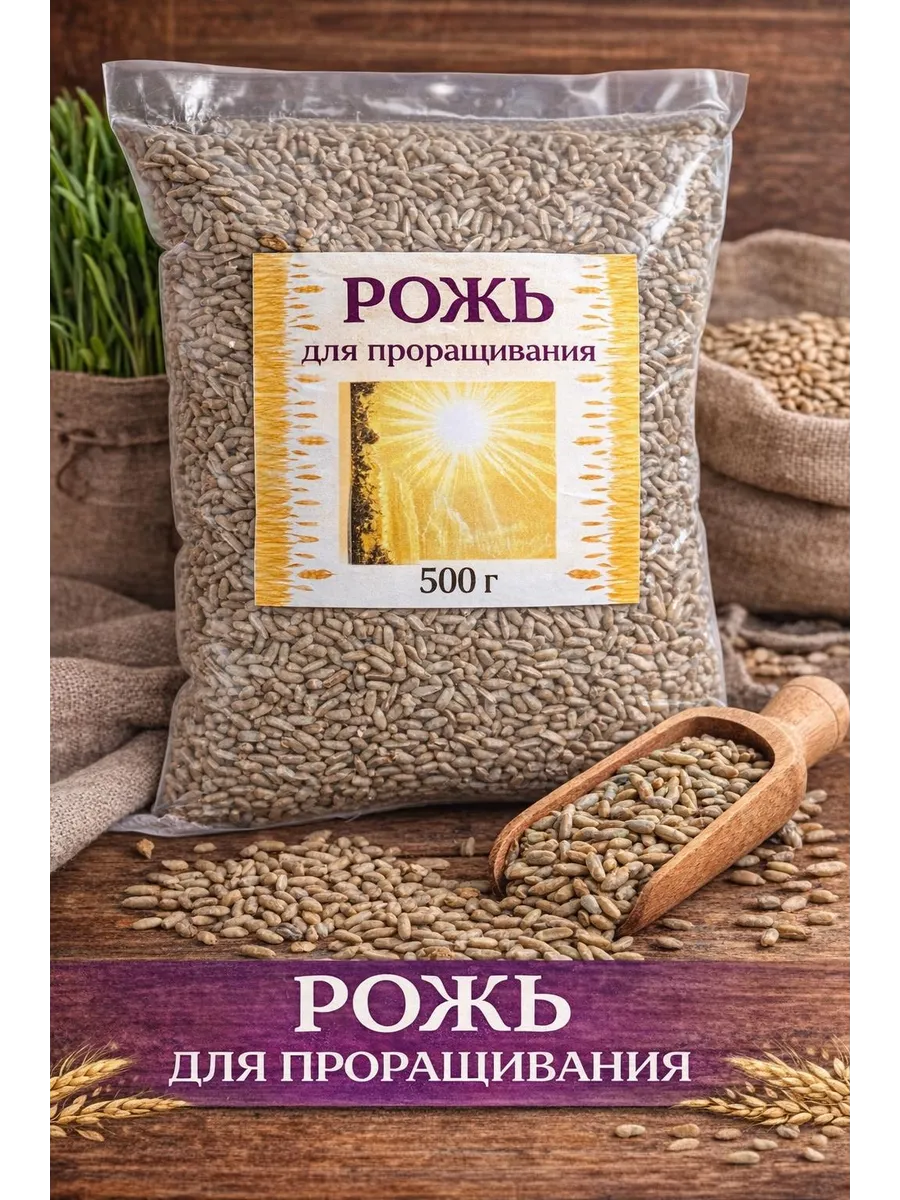 Рожь для проращивания пищевая 500 г