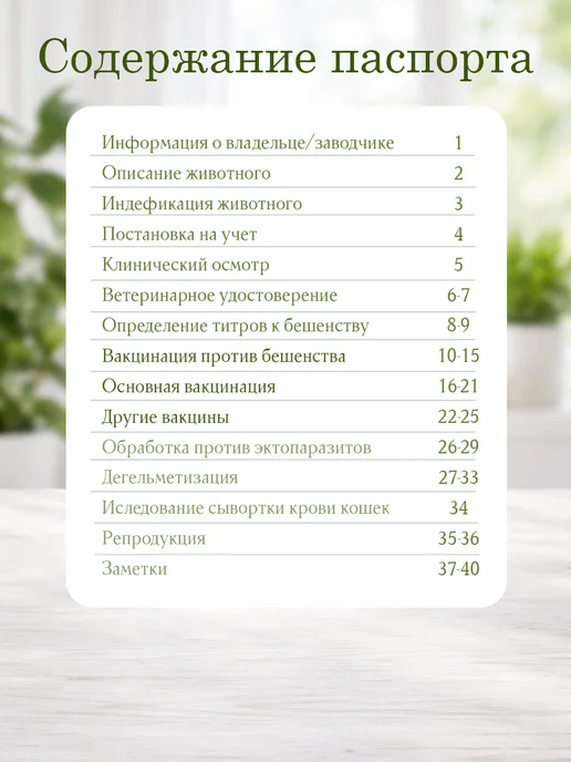 Ушастый друг ветеринарный паспорт для кошек, серый, фото 3