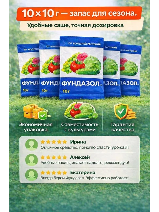 ЭкоДАЧА Фундазол от болезней растений и цветов 10 шт по 10г, 10 шт, 10 г, фото 3