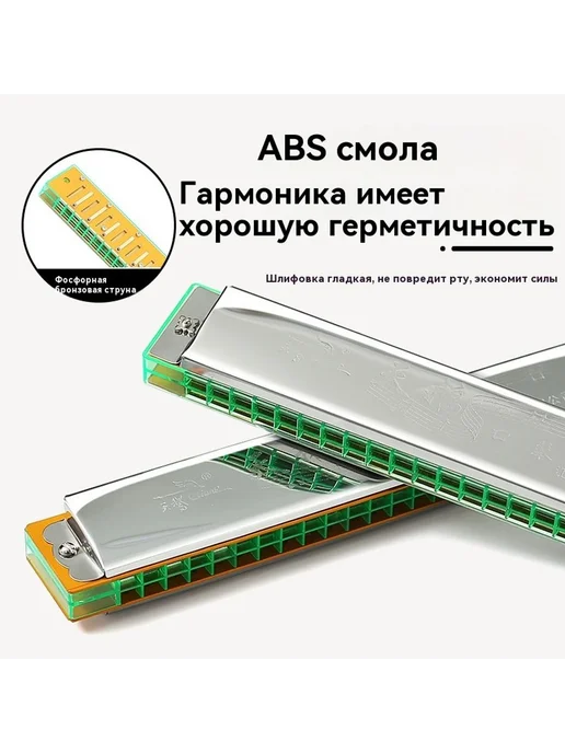 Гармоника для начинающих с полифонии 24 лунок, вариант, фото 3