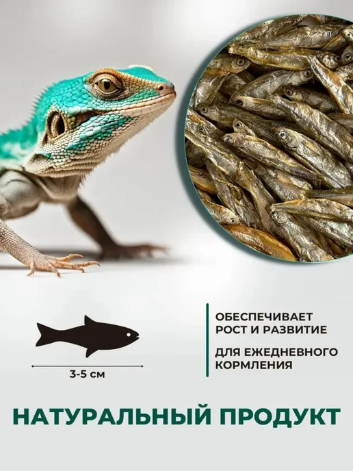 TETRA Рыбка сушеная для черепах и ящериц, 20 грамм, вариант, фото 2