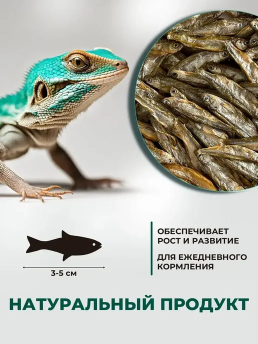 TETRA Рыбка сушеная для черепах и ящериц, 100 грамм, вариант, фото 2