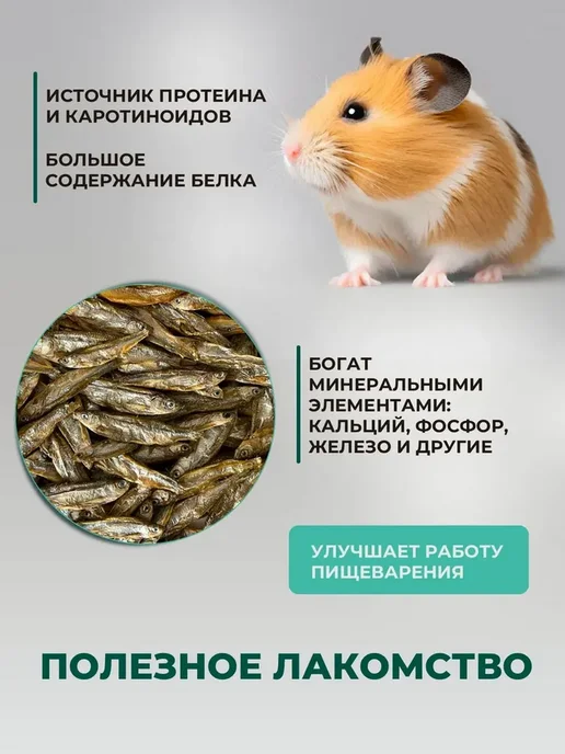 TETRA Рыбка сушеная для черепах и ящериц, 100 грамм, вариант, фото 3