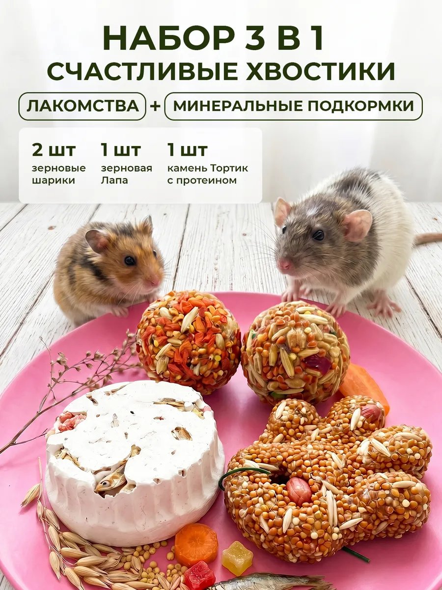 Лакомства и минеральный камень для грызунов