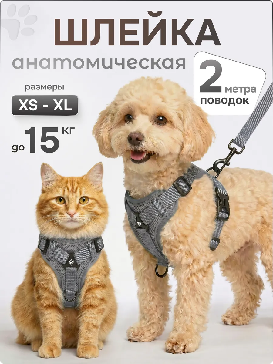 Шлейка для кошек и собак мелких средних пород с поводком
