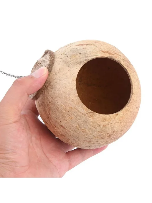 Птичье гнездо из скорлупы кокоса, вариант, фото 6