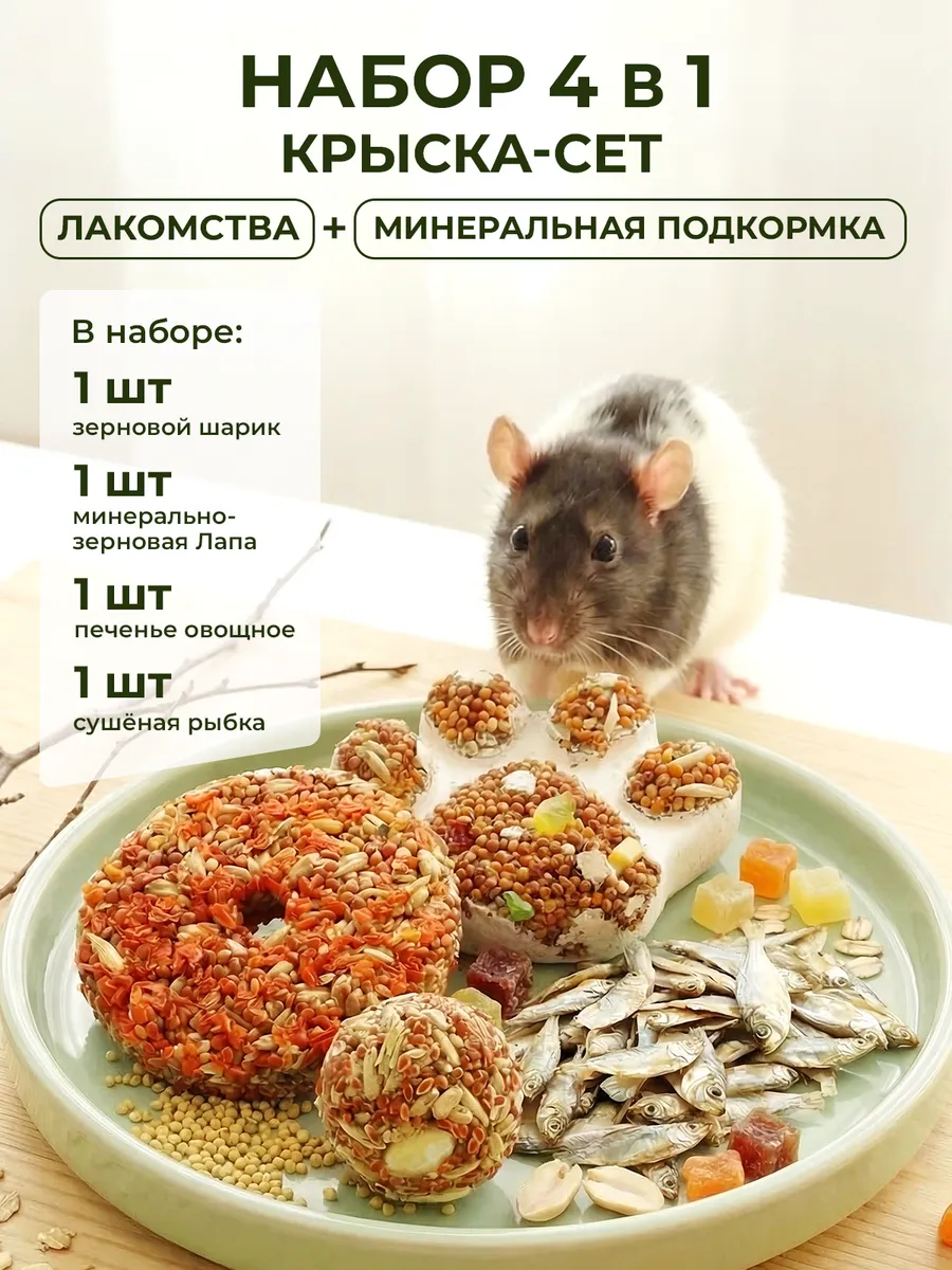 Лакомства и минеральный камень для крыс