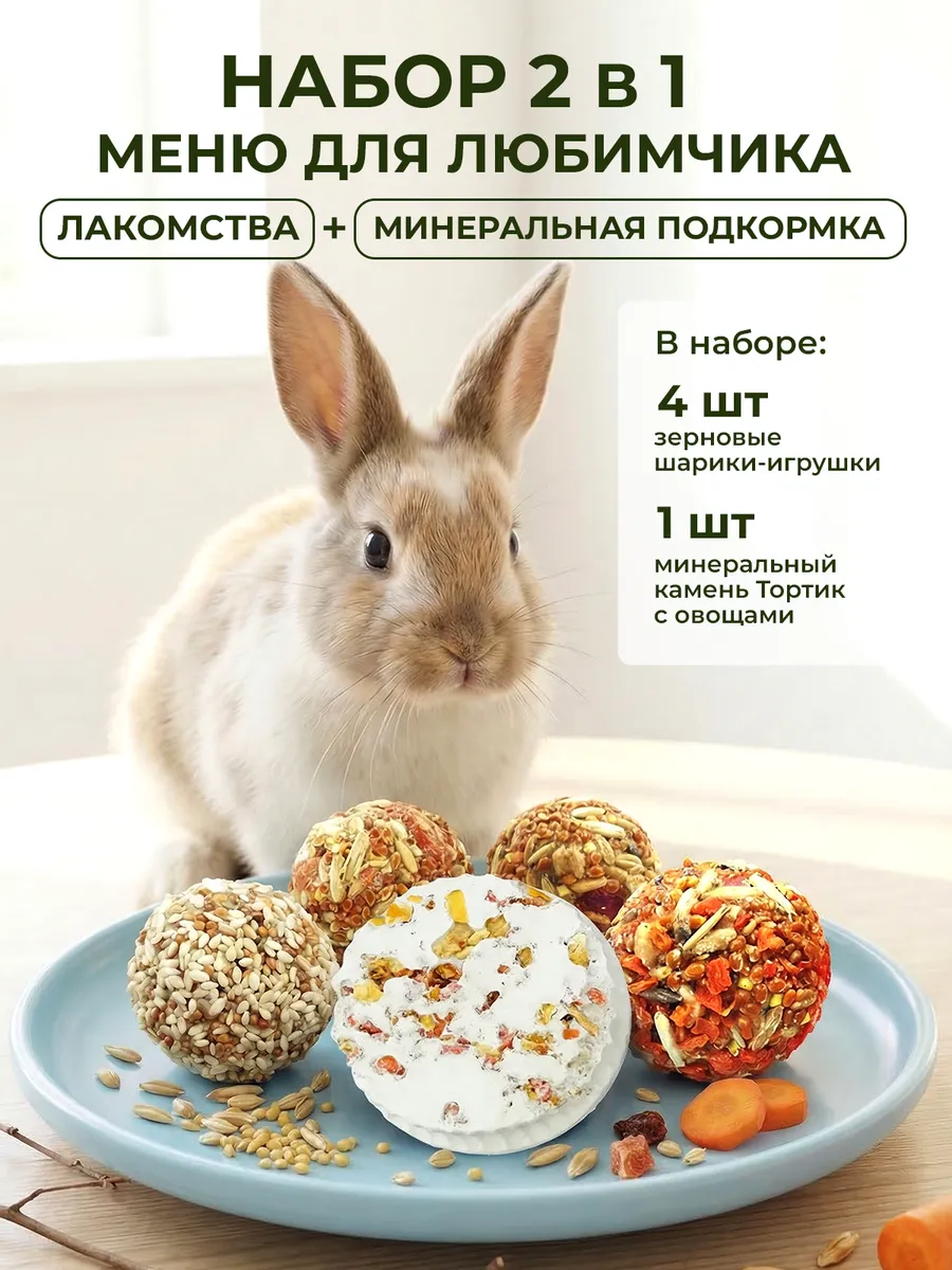 Лакомства и минеральный камень для грызунов