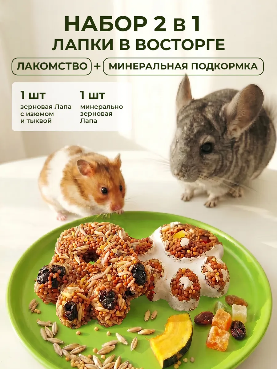 Лакомства и минеральный камень для грызунов