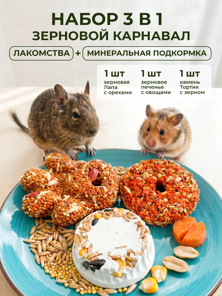 Лакомства и минеральный камень для грызунов