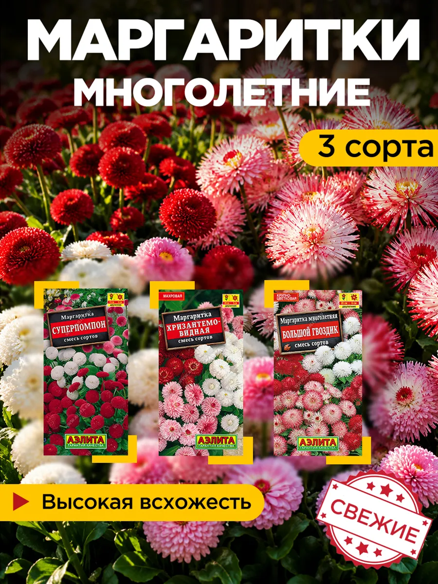 Семена цветов Маргаритки набор 3 пачки