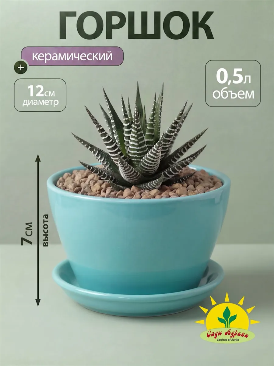 Горшок для цветов керамика с поддоном 0,5 л
