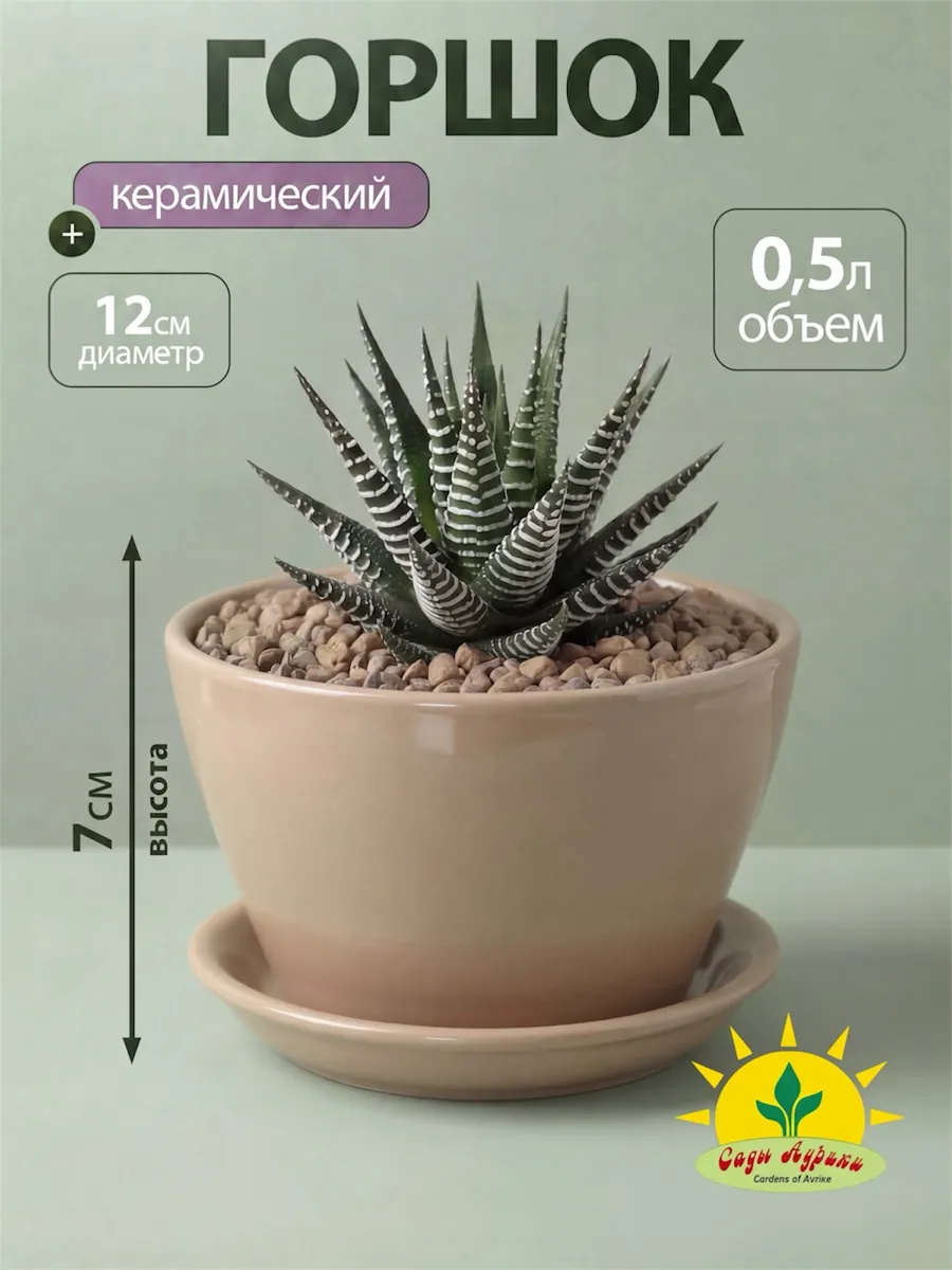 Горшок для цветов керамика с поддоном 0,5 л