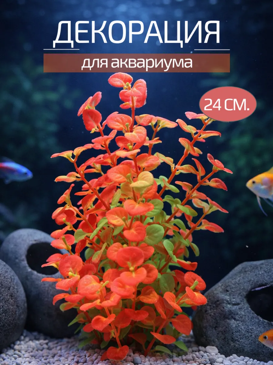 Декорация для аквариума 24 см.