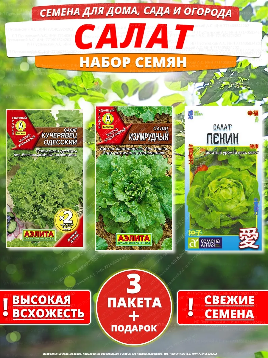 Семена салат для дома сада посадки