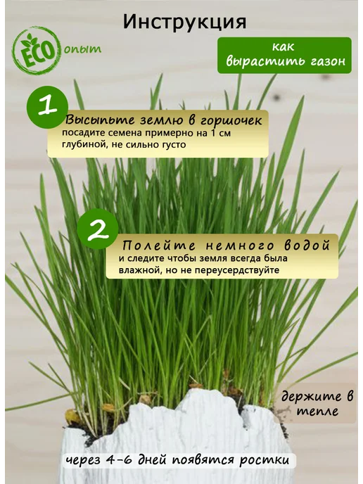 Набор для выращивания Вырасти Травку, вариант, фото 2
