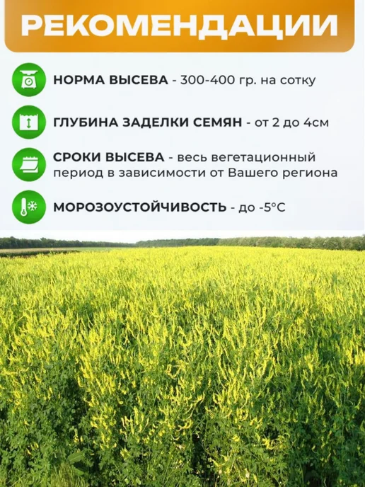 Наши Луга Донник желтый семена 500 гр, 500 г, фото 2
