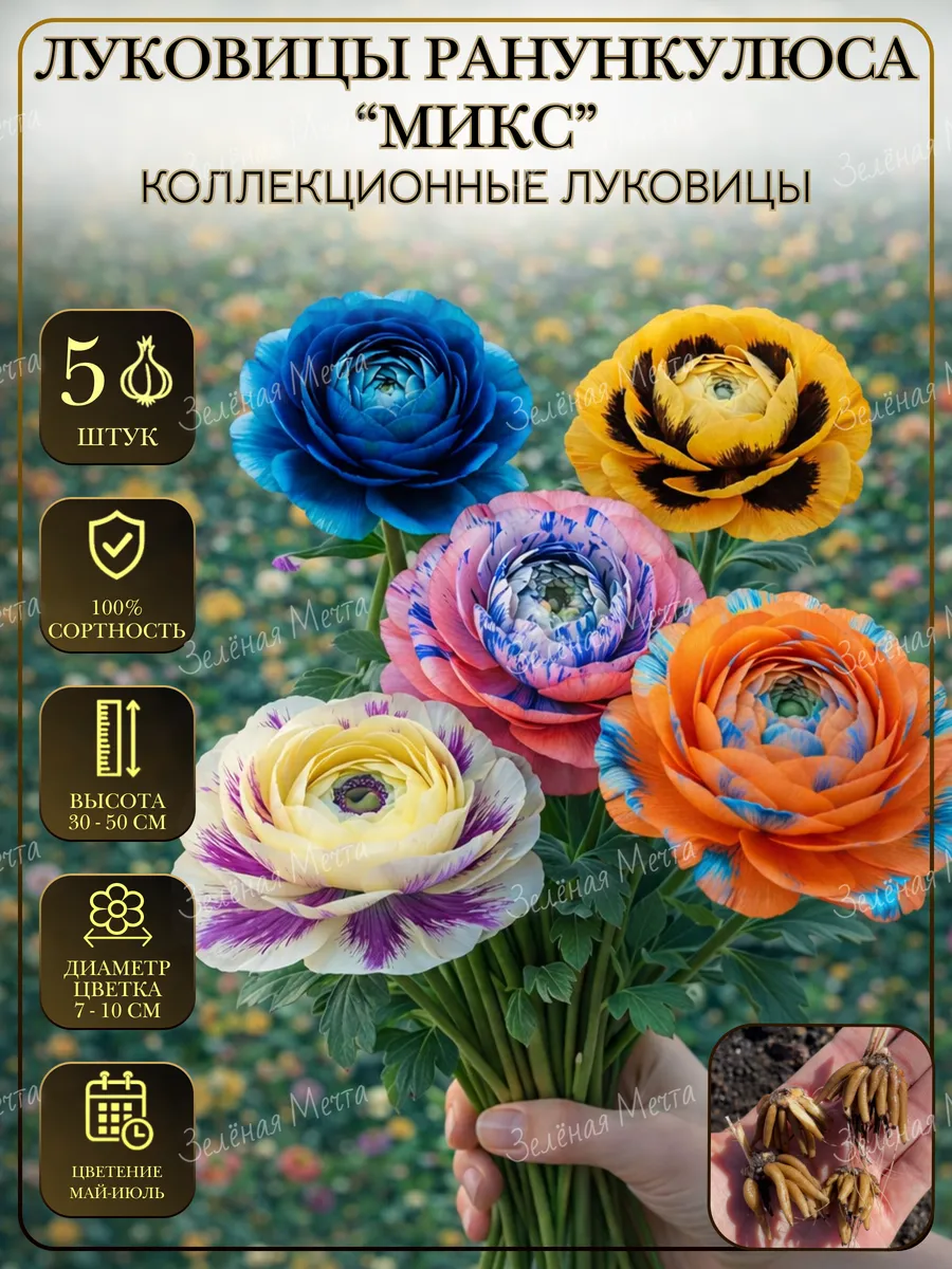 Ранункулюс луковицы для посадки Микс 5 шт