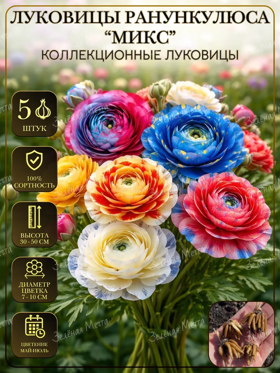 Ранункулюс луковицы для посадки Микс 5 шт