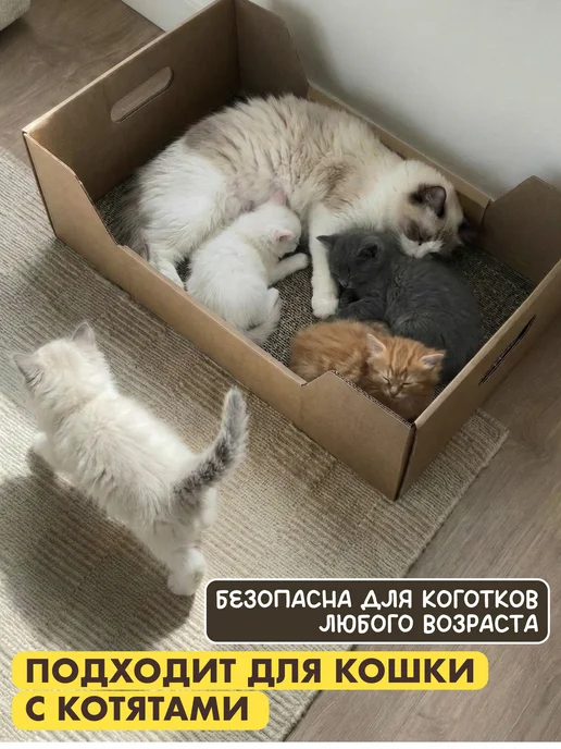 XARTIKO Когтеточка лежанка напольная из картона для кошки, вариант, фото 7