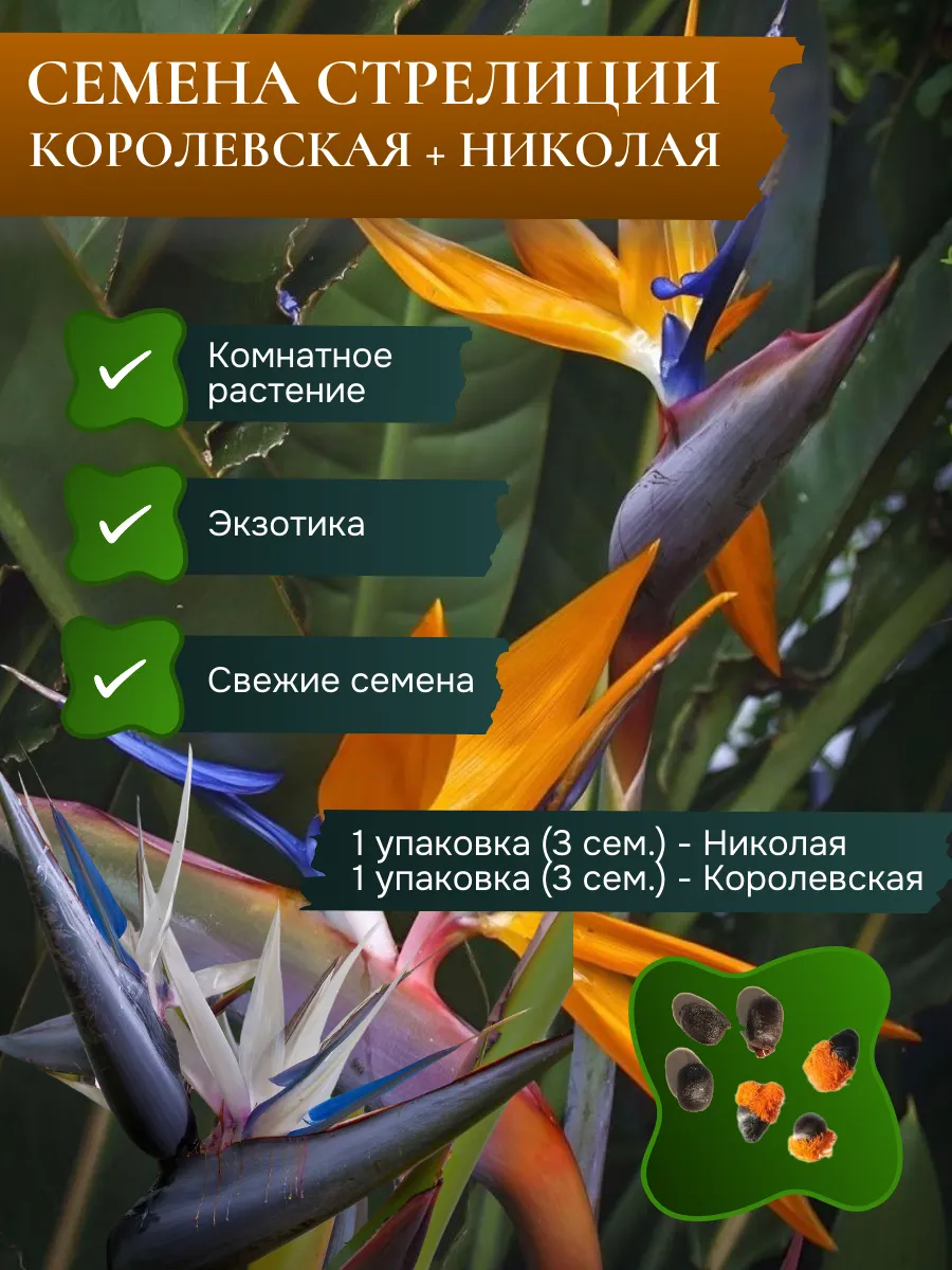 Семена Стрелиция королевская и Николая