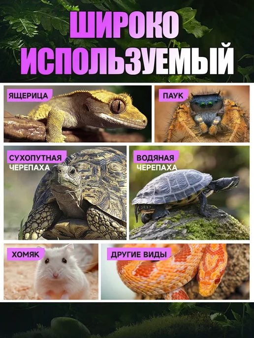 Кормушка и автопоилка для черепах и рептилий в террариум, черный, фото 7