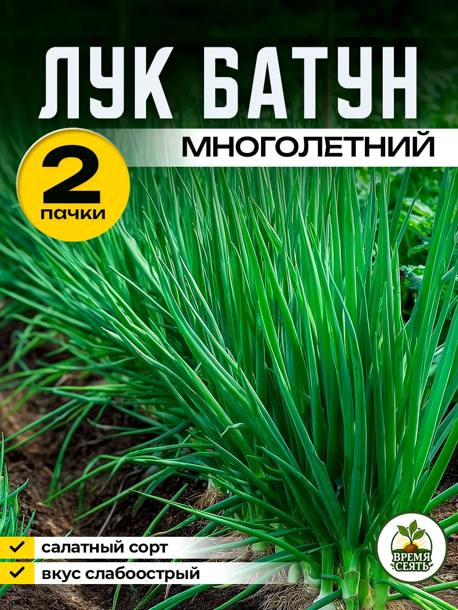 семена лука батуна 2 пачки