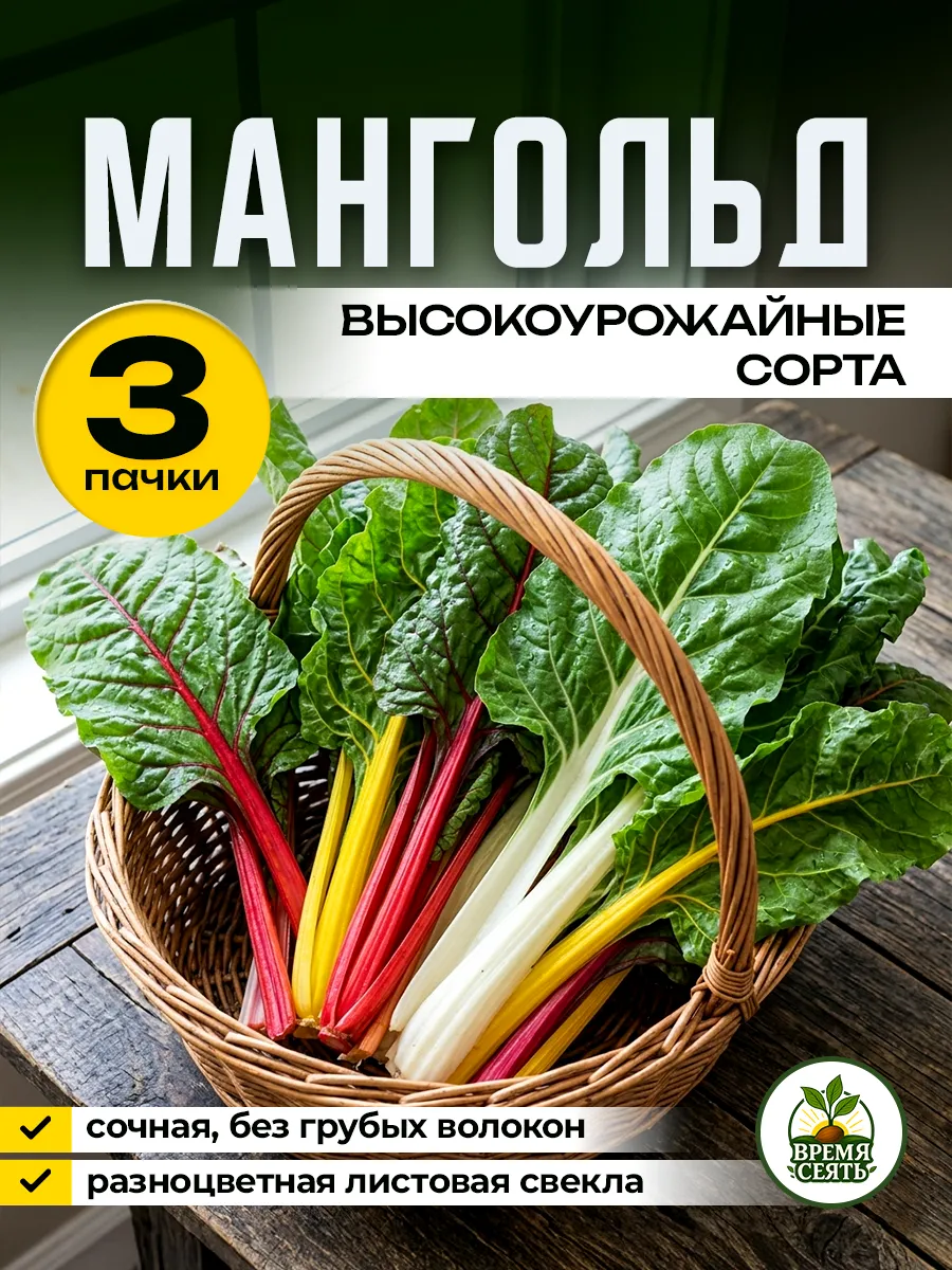Семена мангольда