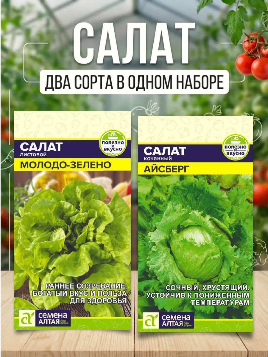 Салат семена. Для открытого грунта и теплиц.