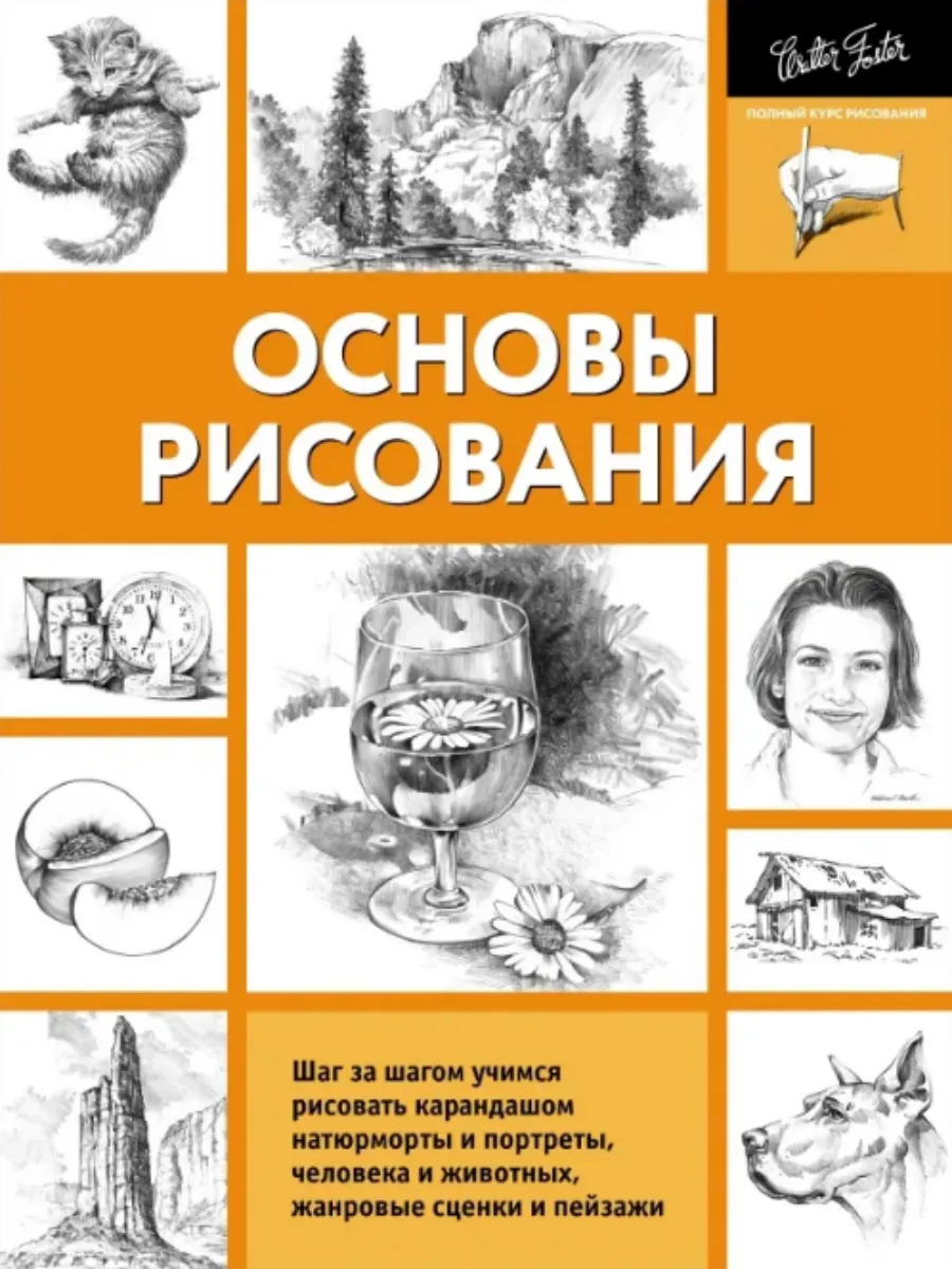 Основы рисования. Степанова А.Н