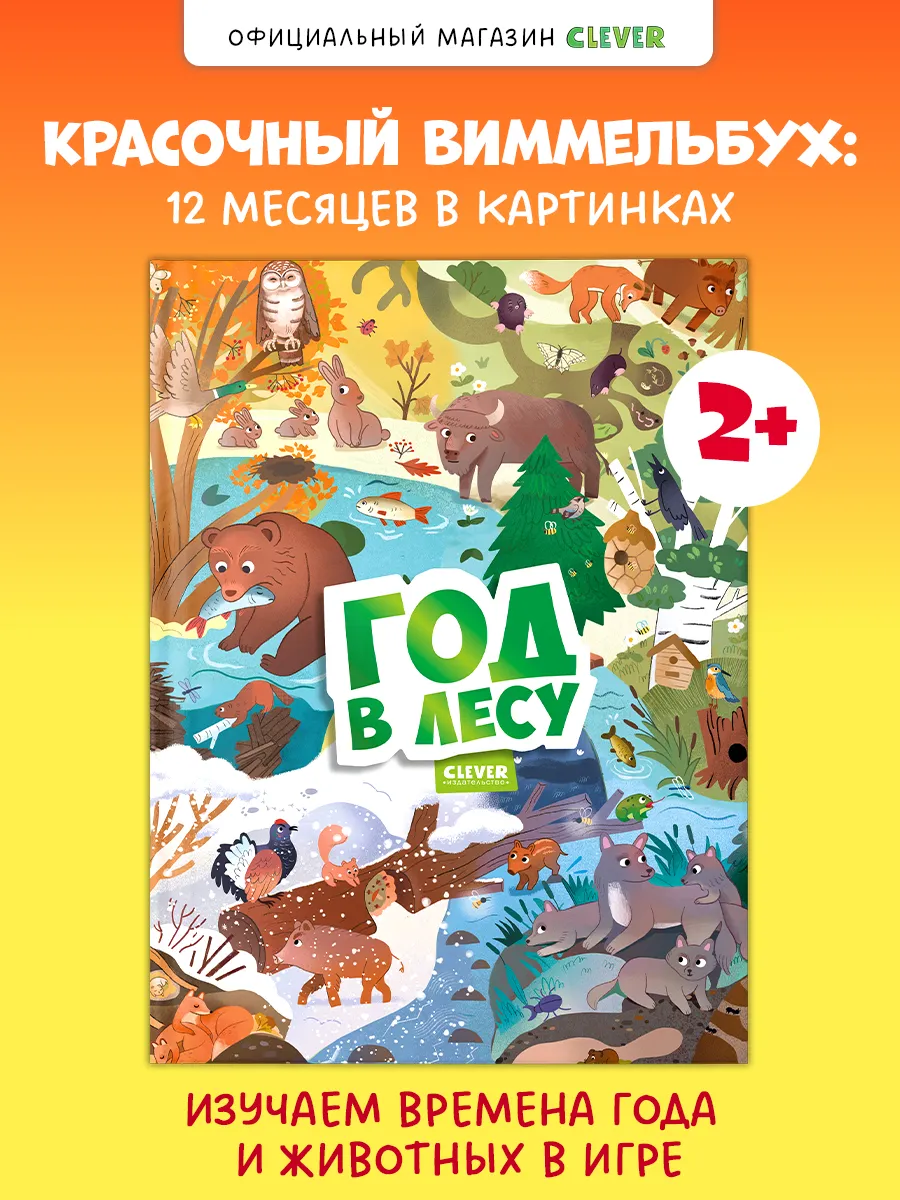 Виммельбух. Круглый год. Год в лесу