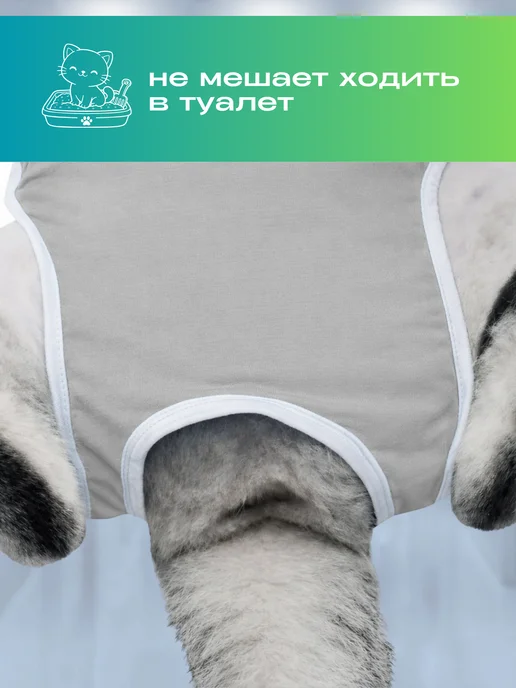 BeeLoved Попона для кошки послеоперационная на липучке, вариант, фото 2