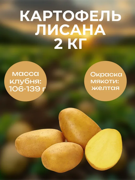 ОгородNIK Картофель Лисана, 1 кг, 2 кг
