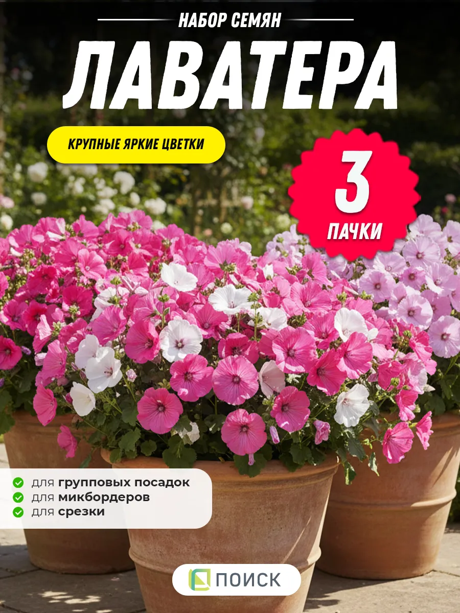 Лаватера семена 3 шт