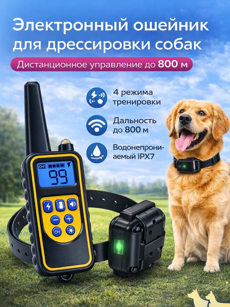 Электронный ошейник для дрессировки собак