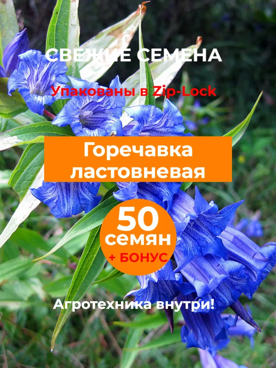 Семена Горечавка ластовневая, 50 шт. 2025 год.