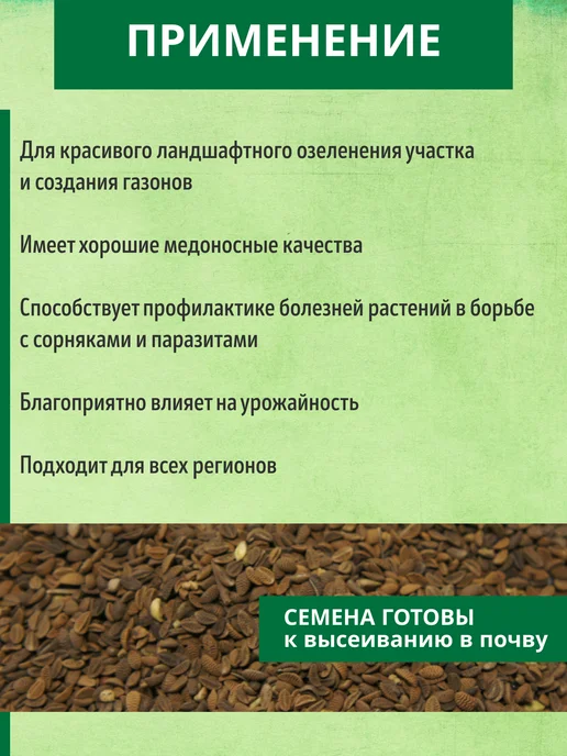 ЗЕЛЕНЫЙ УГОЛОК Фацелия сидерат семена, 500 гр, 500 г, фото 3