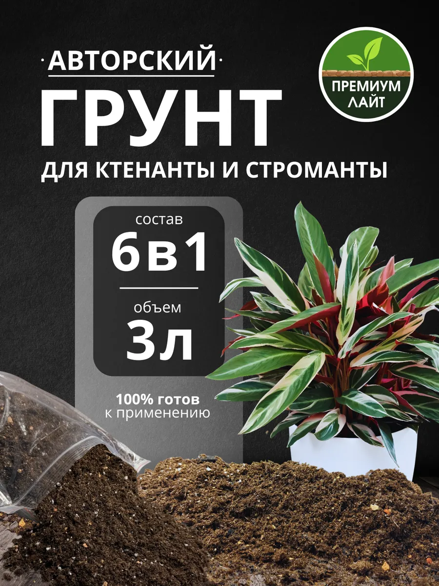 Грунт для Ктенанты и Строманты 3л готовый лайт