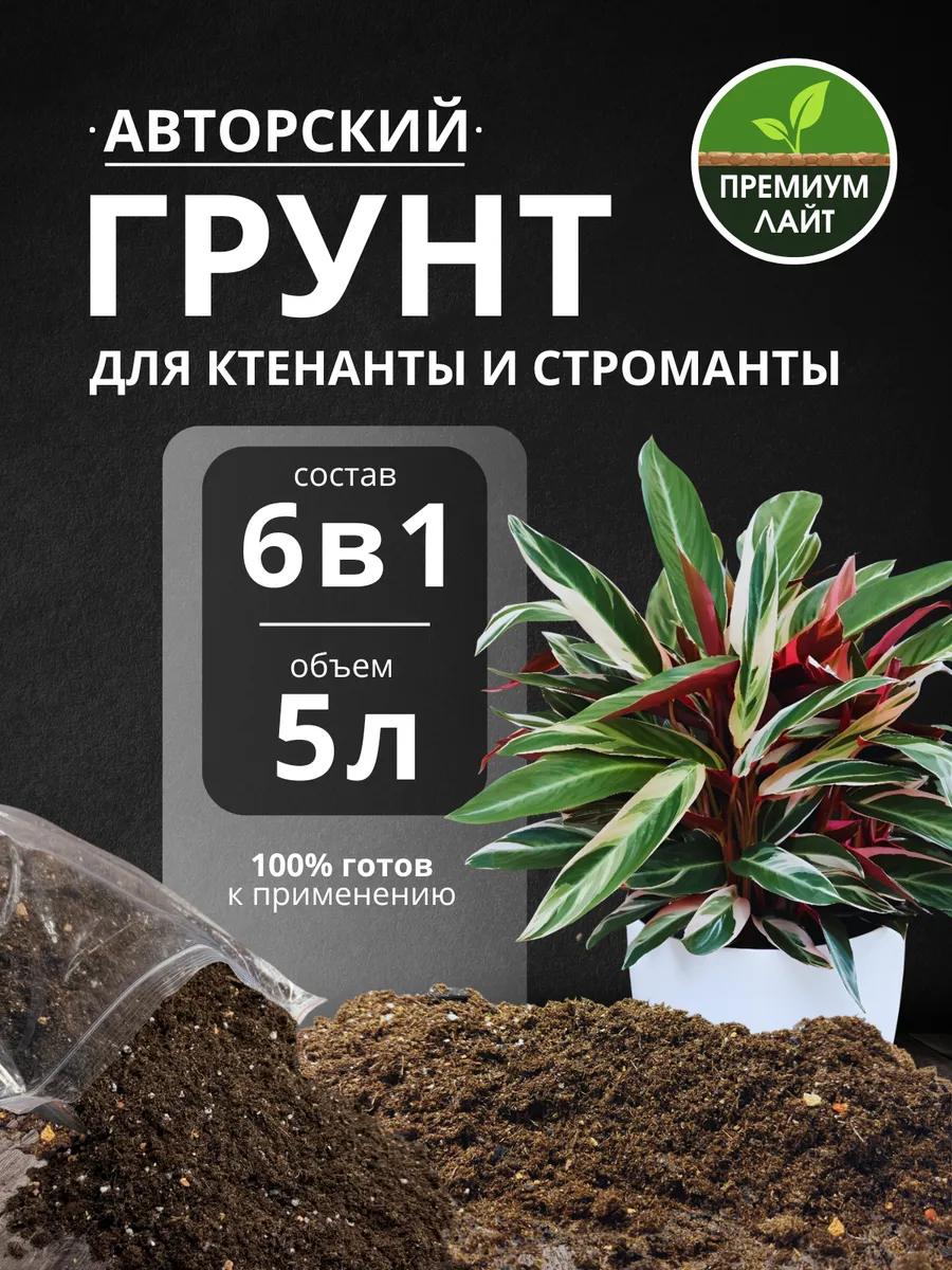 Грунт для Ктенанты и Строманты 5л готовый лайт