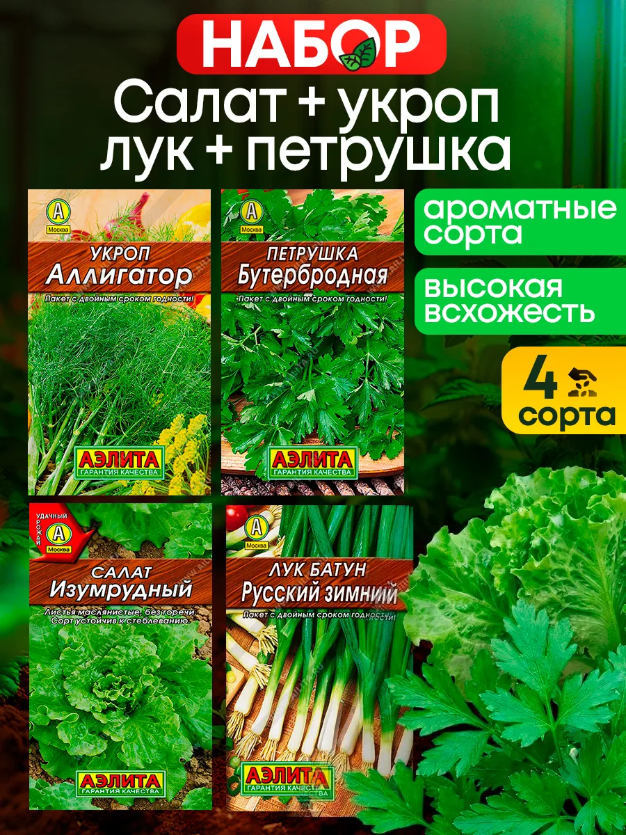 Семена Салата Петрушки Укропа Лука