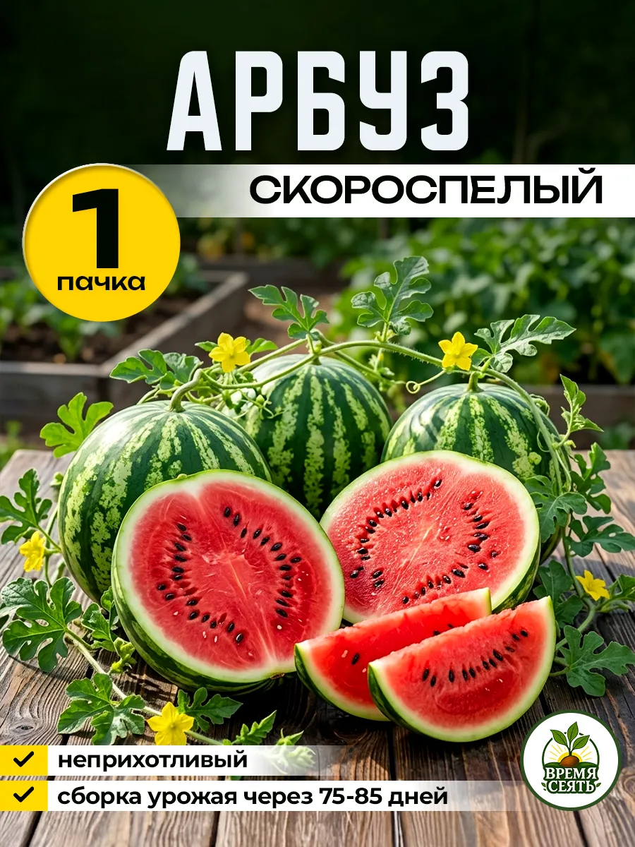 Семена арбуза скороспелого