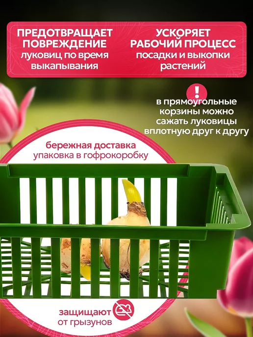 KOMPLEKT PLASTIK корзины для посадки луковичных растений 10шт, 10 шт, фото 2