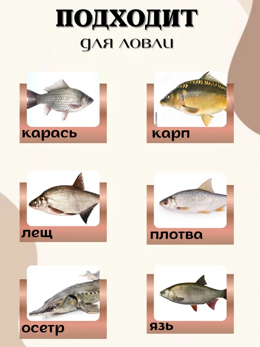 ТуризмPRO Кормушка фидерная квадратная c дном 4 шт. 80-90г, 4 шт, 90 г, фото 3