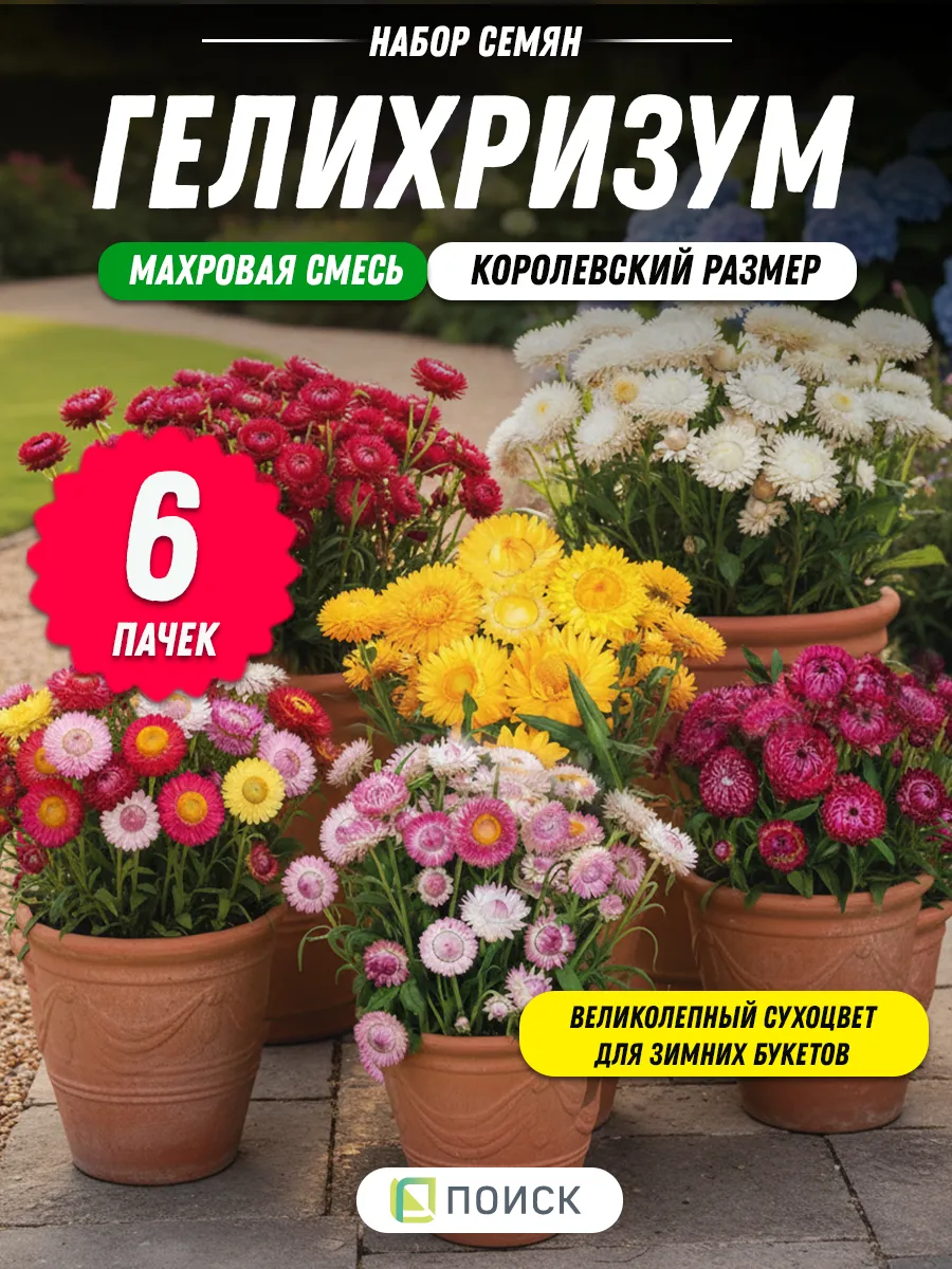 Гелихризум семена смесь 6 шт