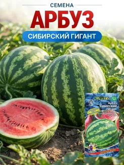 Семена арбуза Сибирский гигант ранний для открытого грунта у