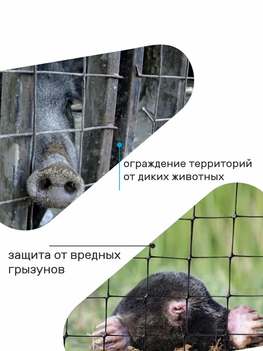 Verda Line Сетка оцинкованная сварная для забора 20 х 20 мм, вариант, фото 4
