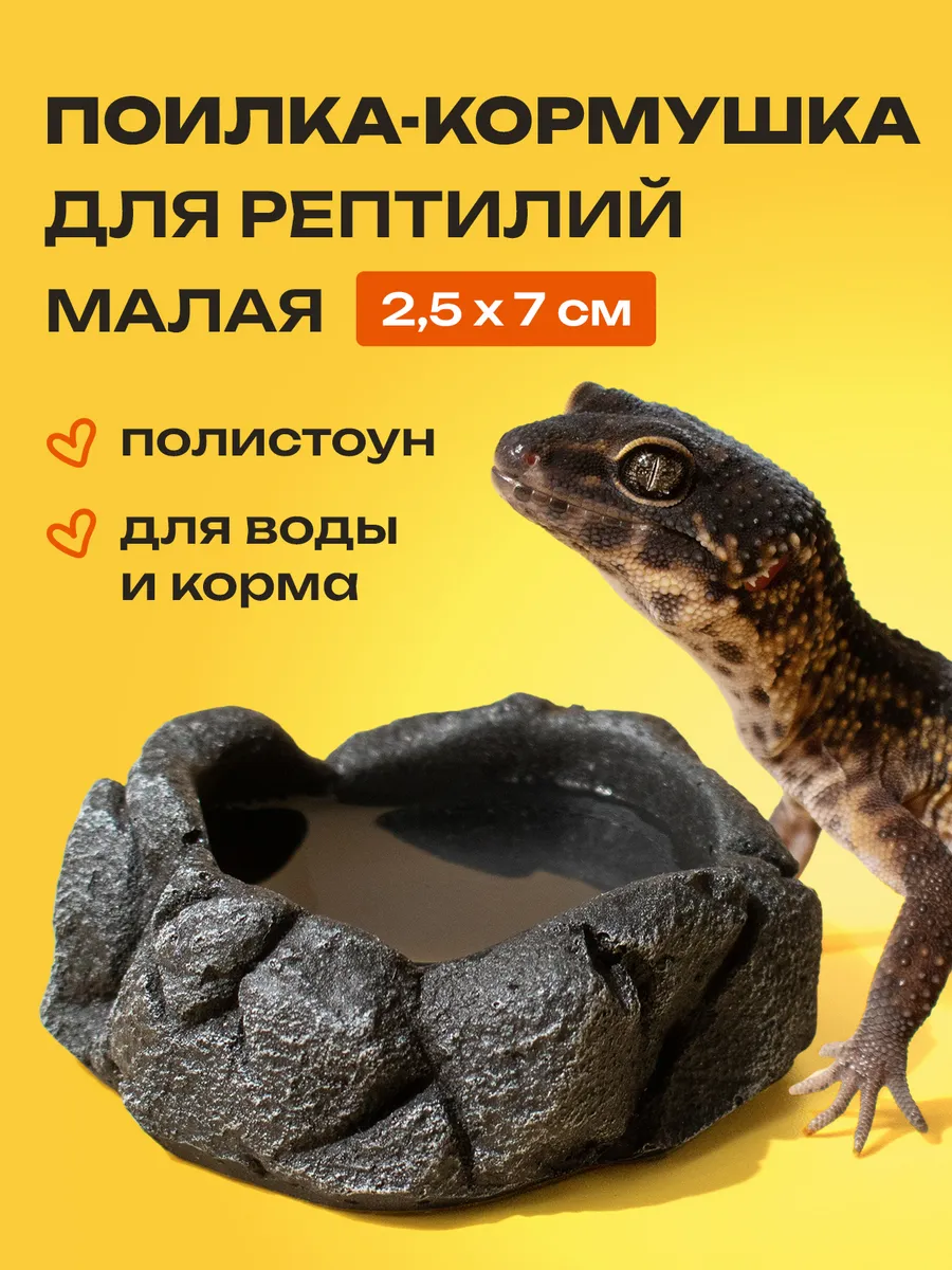 Поилка кормушка для рептилий, эублефара в террариум