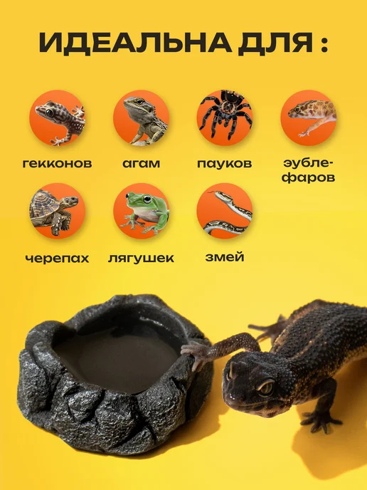 PETPOWER Поилка кормушка для рептилий, эублефара в террариум, черный, фото 3