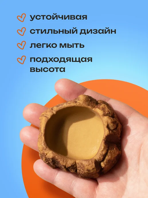 PETPOWER Кормушка поилка маленькая для ящерицы и эублефара, коричневый, фото 2
