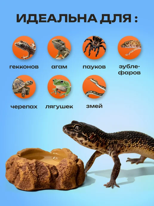 PETPOWER Кормушка поилка маленькая для ящерицы и эублефара, коричневый, фото 3